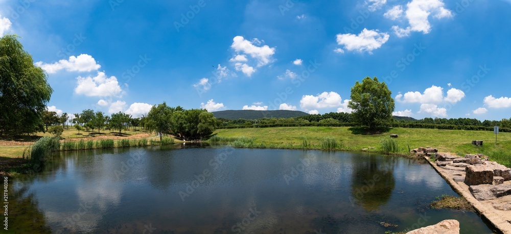 Fototapeta premium Sports Park at Noon in Summer