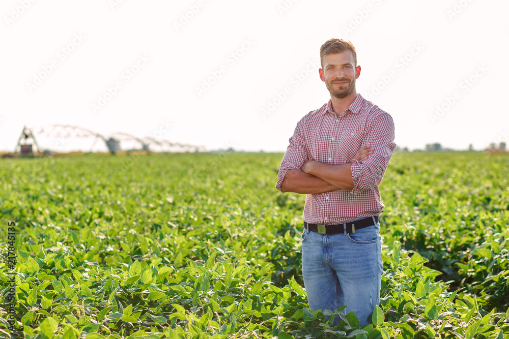 Fototapeta premium Portrait of young farmer standing in soybean field.