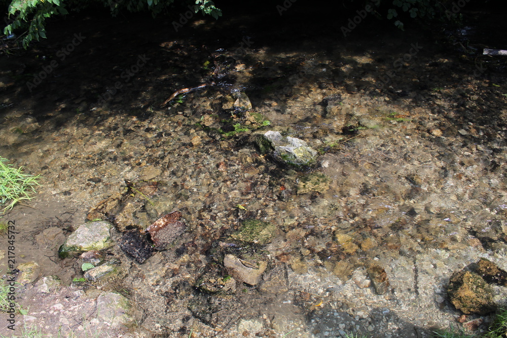 Obraz premium Strumyk