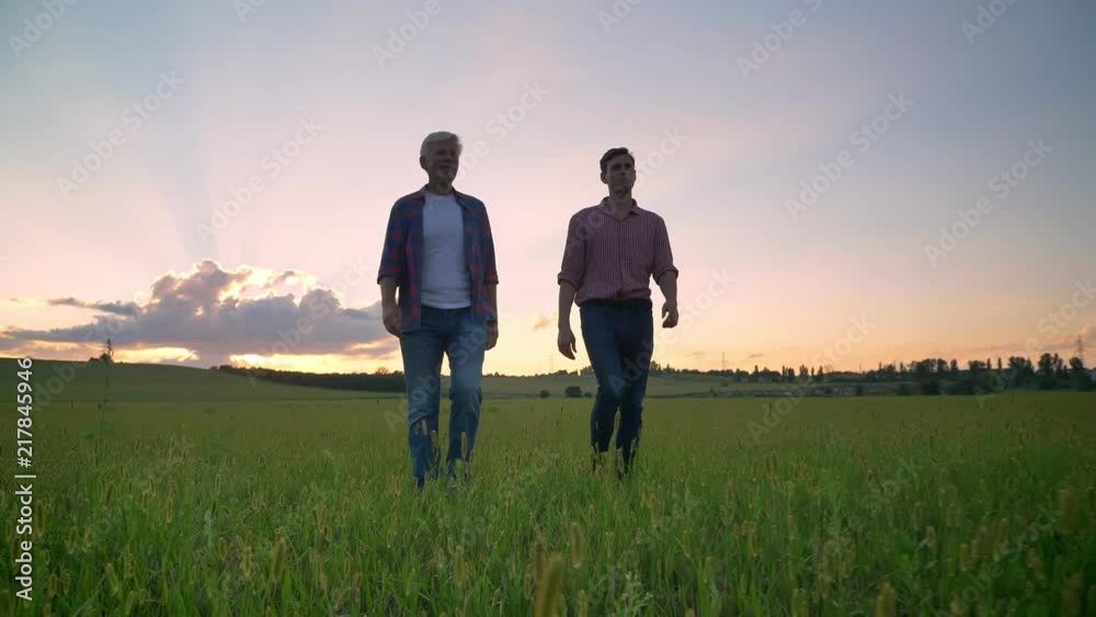 Old dad walking with his adult handsome son and talking, smiling, wheat or rye field with sunset in background Old dad walking with his adult handsome son and talking, smiling, wheat or rye field with sunset in background