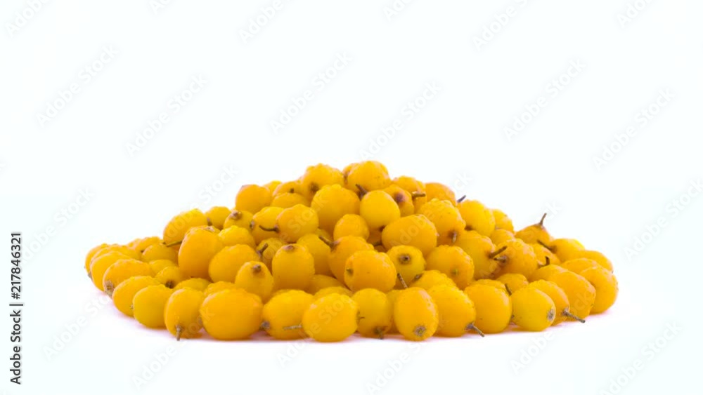 Pile of orange yellow common sea buckthorn berries with water drops rotating on the turntable isolated on the white background. Side view. Close up.
