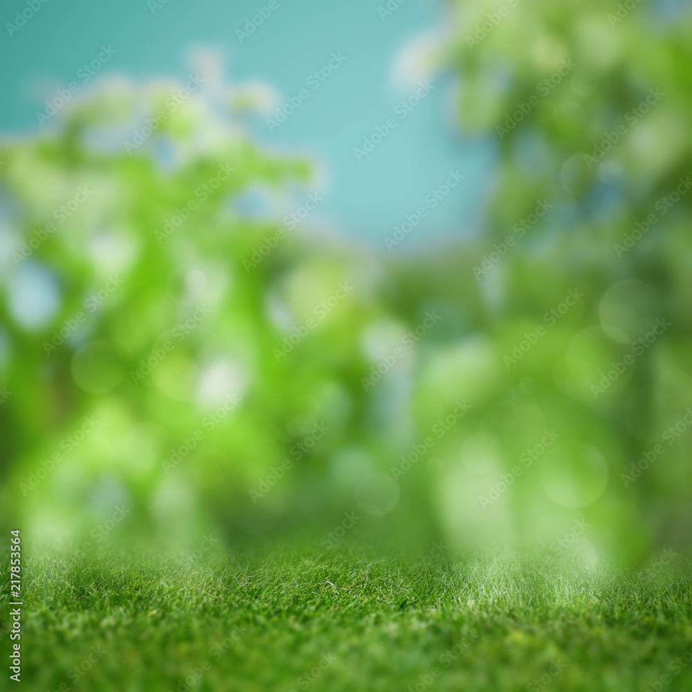 Abstract blured backgrounds with green grass and beauty bokeh Abstract blured backgrounds with green grass and beauty bokeh