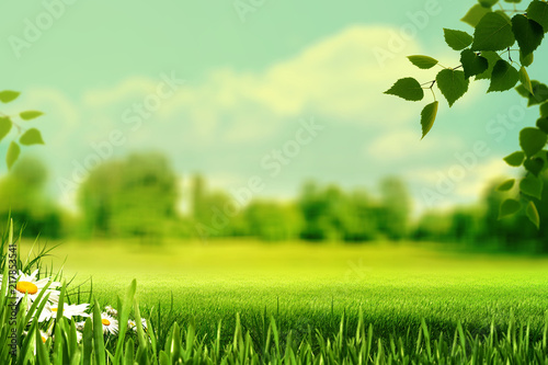 Summertime, abstract natural backgrounds with summer meadow, grass and wild flowers