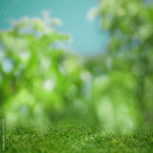 Abstract blured backgrounds with green grass and beauty bokeh