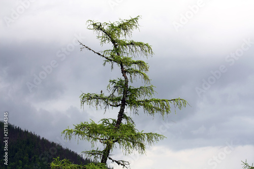 Before the storm Hrebienok, the High Tatras photo