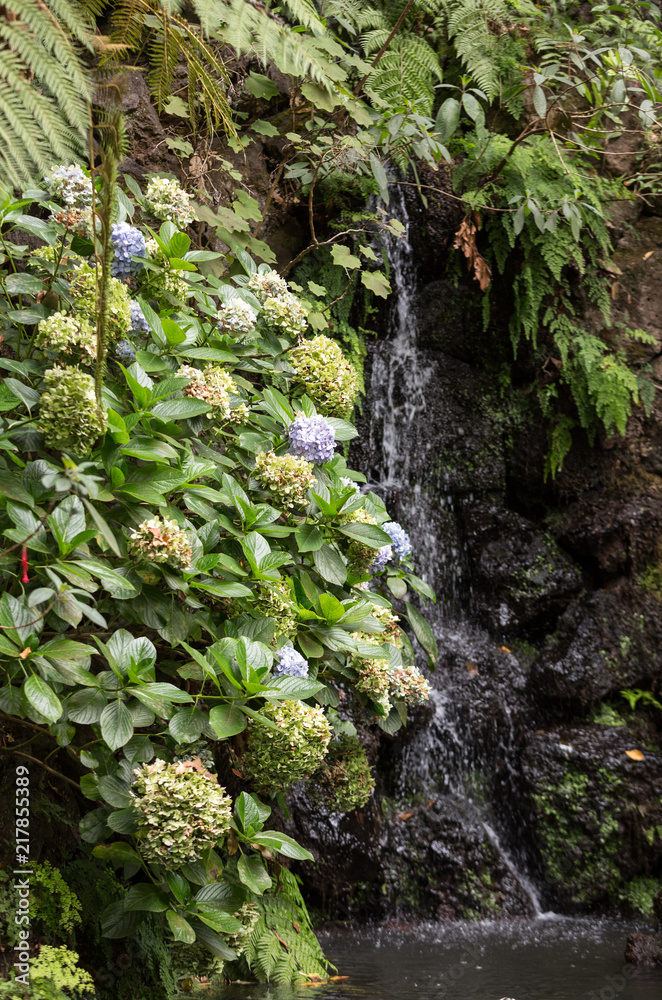  Monte Palace tropical garden in Funchal on Madeira Island. Portugal