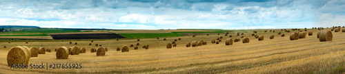 panorama of hay bales on the field after harvest