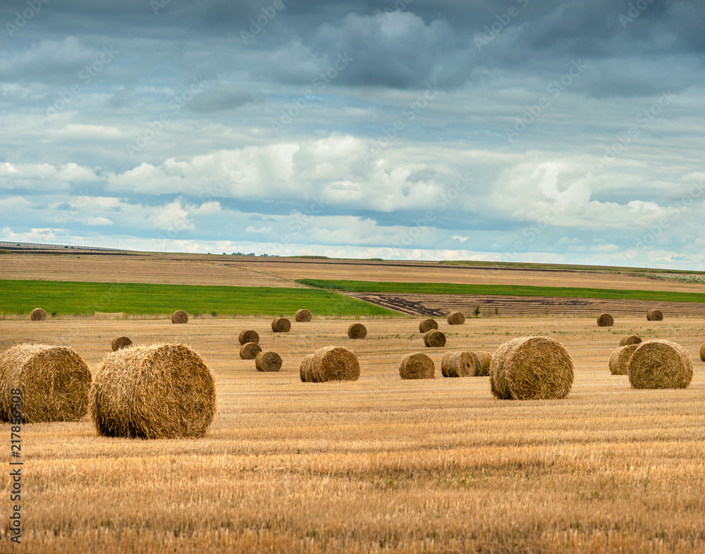 hay bales on autumn field after harvest