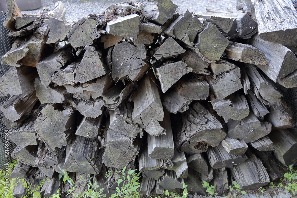 Dry firewood for firing and heating lie in a pile in the backyard

