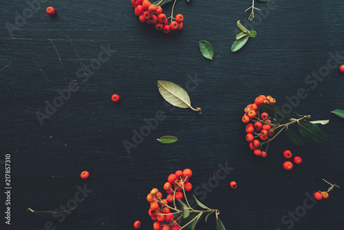 Flat lay red wild berry cruit arrangement