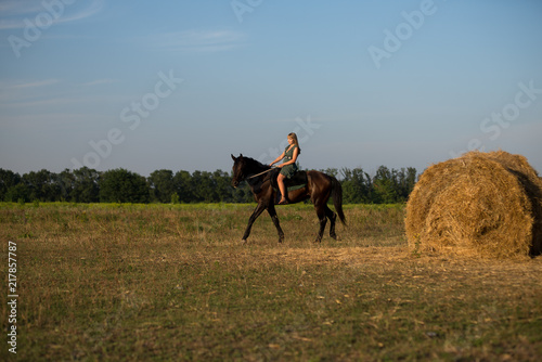Young beautiful girl with a horse on nature © Solomkina Viktoria