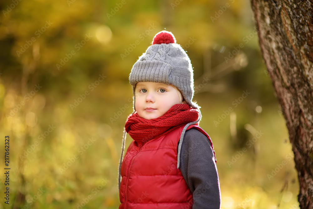 Little boy during stroll in the forest at sunny autumn day Little boy during stroll in the forest at sunny autumn day