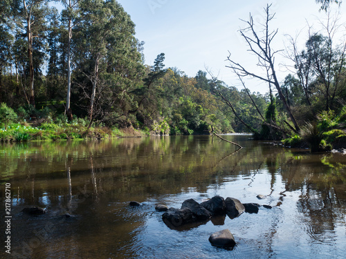 Tableau sur toile Yarra River flowing through the outer suburb of Warrandyte in Australia