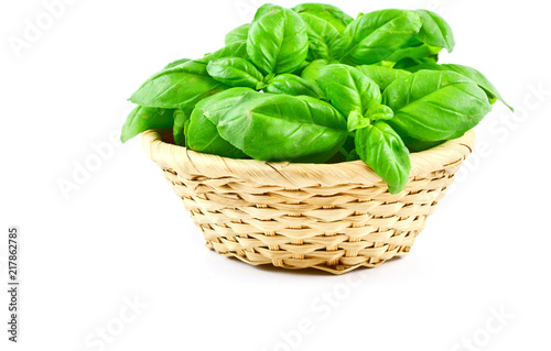 Fresh Sweet basil in basket with white background.