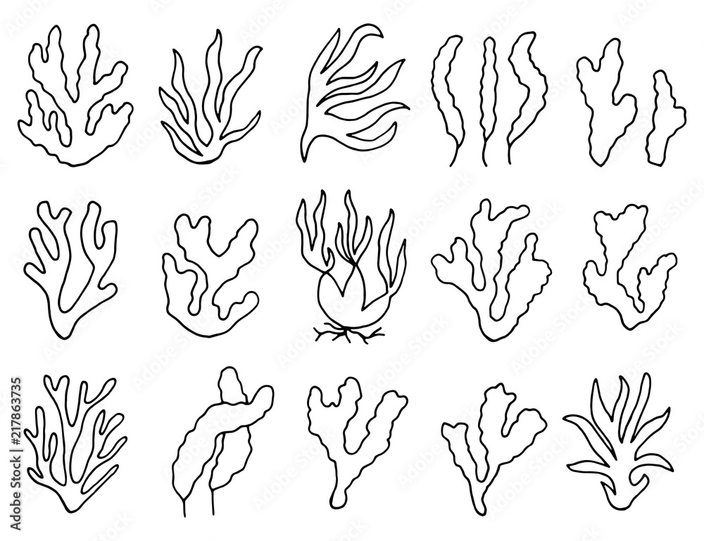 seaweed outline in isolation. linear drawing a set of objects. Stock ...