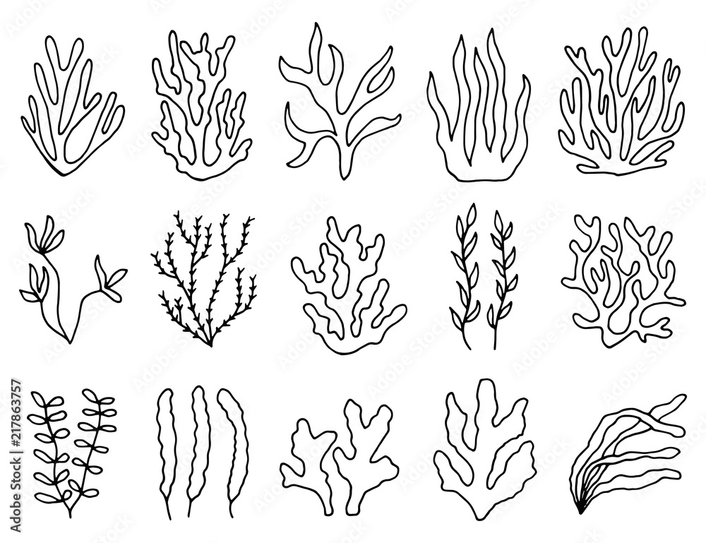 seaweed outline in isolation. linear drawing set of objects Stock 벡터 ...