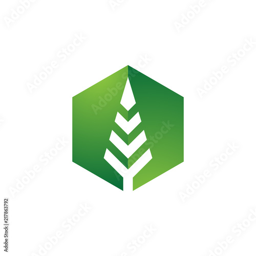 Cube fir tree logo