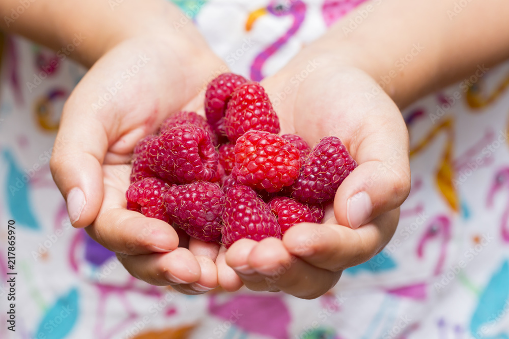 Fresh raspberry with leaves Fresh raspberry with leaves