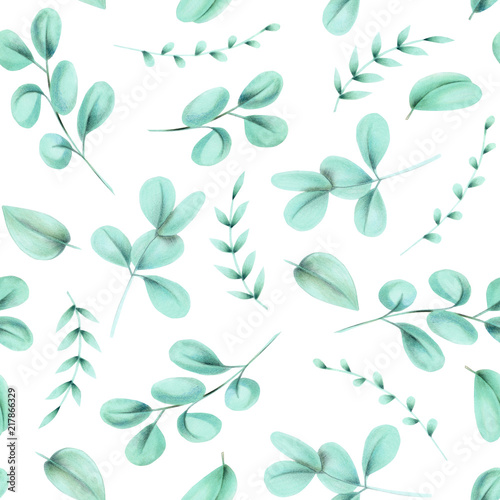 Seamless floral pattern with eucalyptus branches  hand drawn isolated on a white background