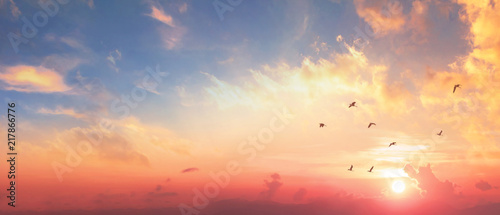 Background of colorful sky concept: Dramatic sunset with twilight color sky and clouds © paul