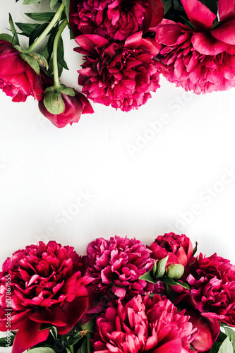 Frame of pink peony flowers on white background. Flat lay, top view blog hero header.