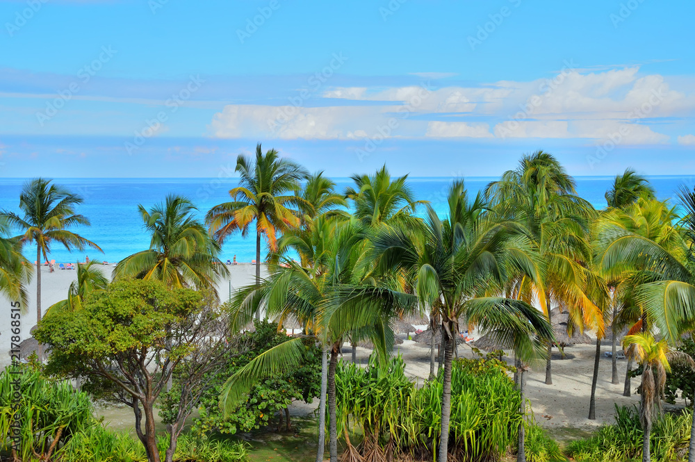 view of the Atlantic coast from the height, palm trees and vegetation, beach, beach umbrellas, figurines of people in the background near the coastline, a beautiful sky in the clouds, Varadero, Cuba