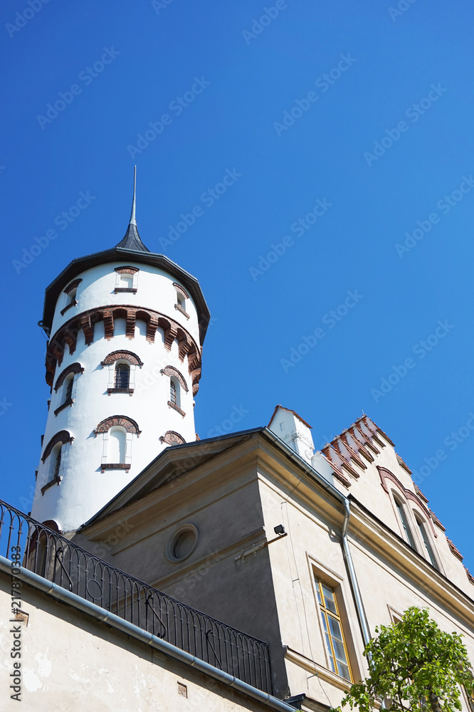 Obraz premium old Radun castle in the czech republic