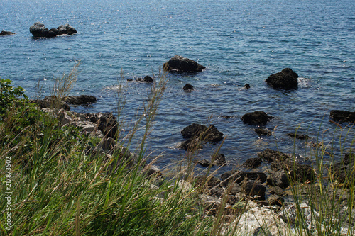 Rocky bay surrouded with grass during daytime