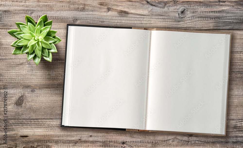 Minimal flat lay Open book succulent wooden background Minimal flat lay Open book succulent wooden background
