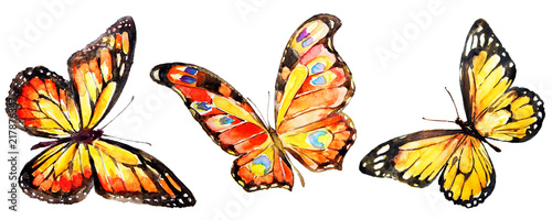 beautiful yellow-red butterflies, watercolor, isolated on a white background