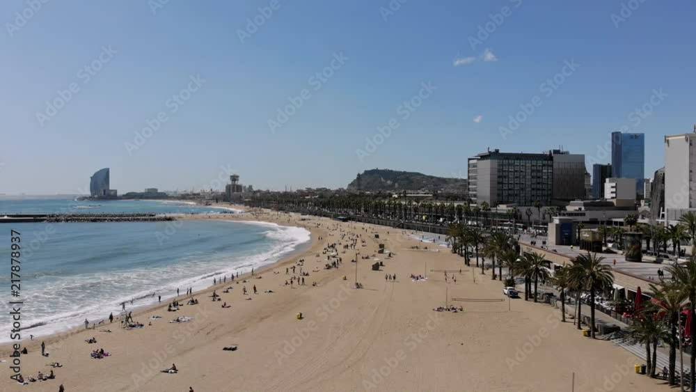 Aerial view of a beach