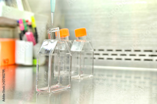 The women researcher using pipette and cell culture flask do the aseptic technique for changing the medium of adherent cell culture is needed to maintain cells in numeral growth.