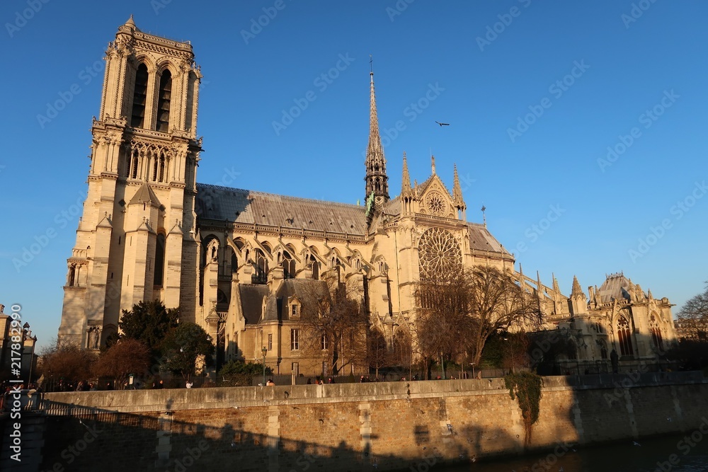 Notre-Dame de Paris, façade sud de la cathédrale, côté Seine, au soleil couchant (France)
