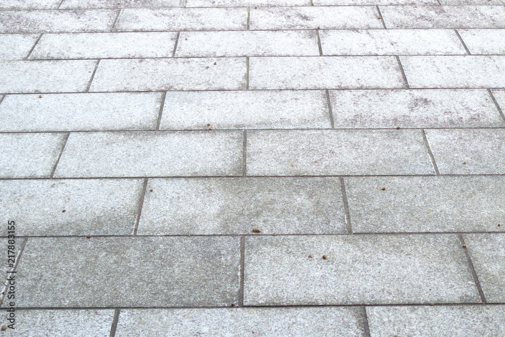 Fototapeta premium 幾何学模様の石敷 - Stone floor of geometric patterns