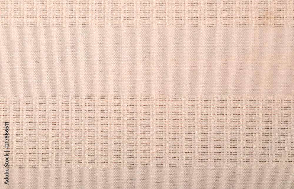 Fototapeta premium bright texture of the fabric with a spot of mold