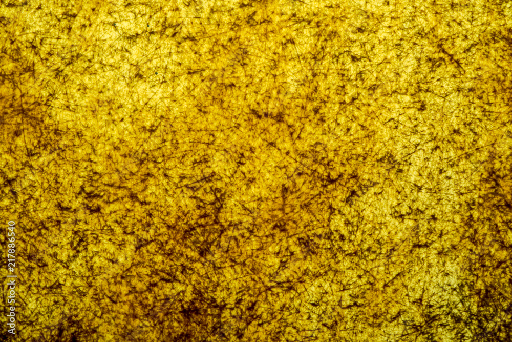 acrylic texture wrinkle surface damage by sunlight rain acrylic texture wrinkle surface damage by sunlight rain