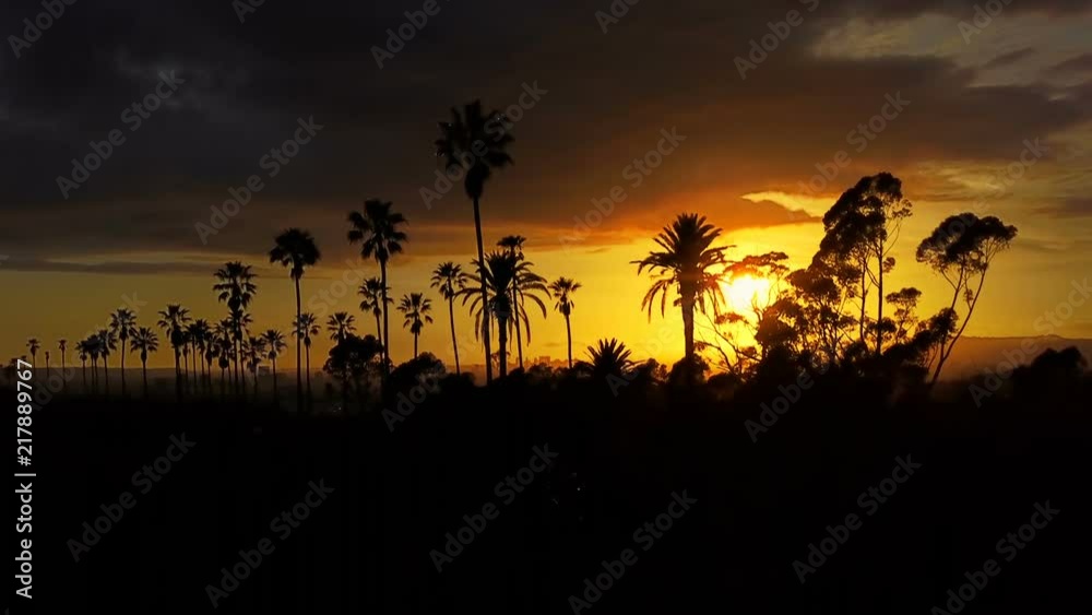 Silhouette of palm trees and a beautiful sunset. Silhouette of palm trees and a beautiful sunset.
