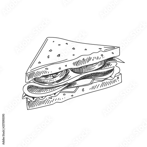 vector hand drawn sandwich Illustration