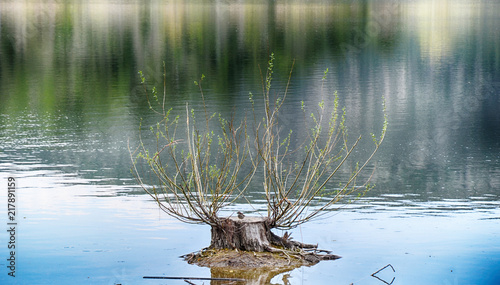 eymir gölü photo