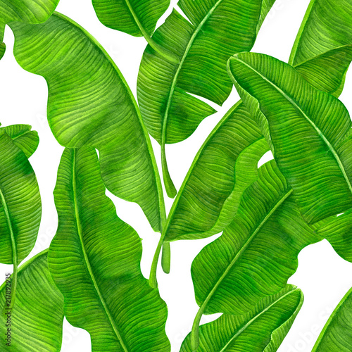 Seamless watercolor pattern with banana leaves.