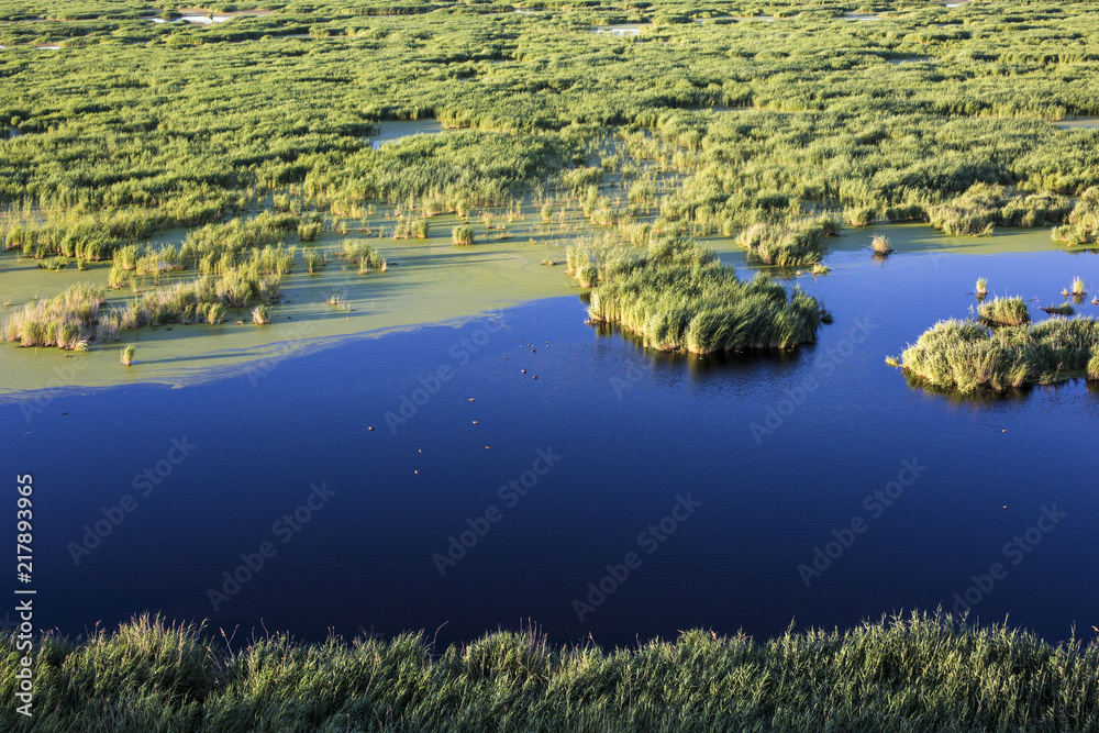 Aerial view of the wetland