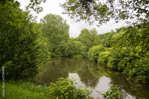 Shady pond in cloudy weather