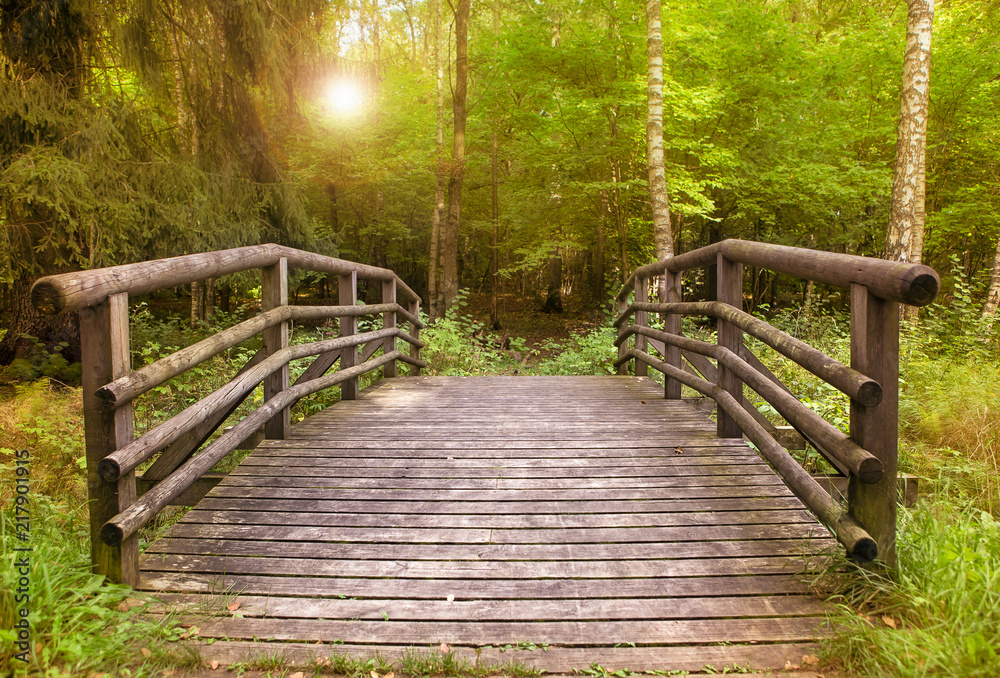 Obraz premium Wooden Bridge in the forest at the sunset inEstonia
