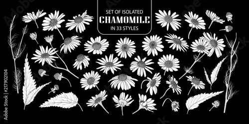 Set of isolated white silhouette chamomile in 33 styles.