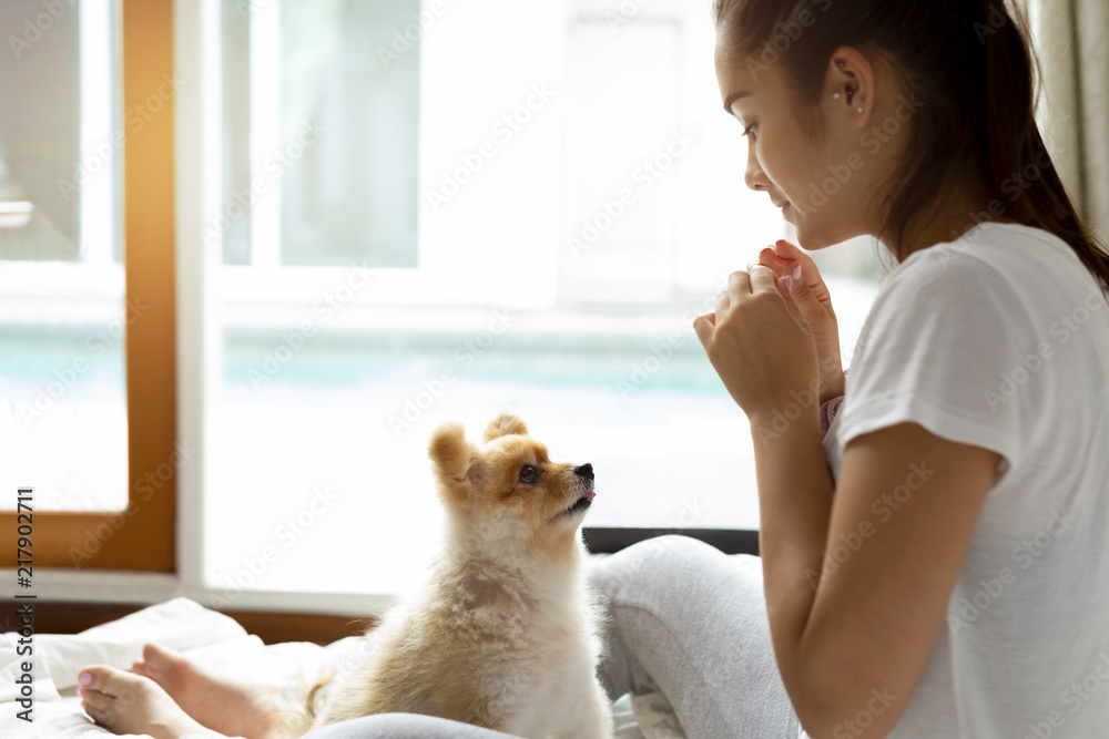 Mixed Race teenage girl teaching pomeranian dog to do a trick on the bed. Mixed Race teenage girl teaching pomeranian dog to do a trick on the bed.