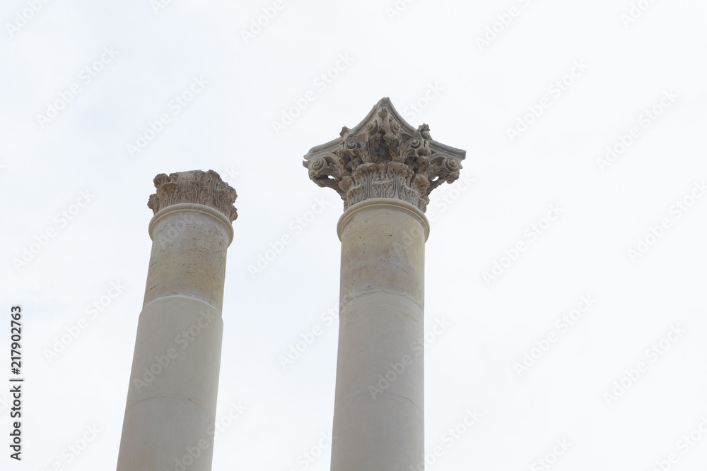 Greek Ionic Column