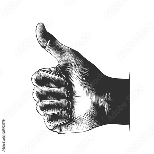 Vector engraved style illustration for posters, decoration and print. Hand drawn sketch of hand like in monochrome isolated on white background. Detailed vintage woodcut style drawing.