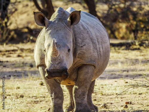 Namibia