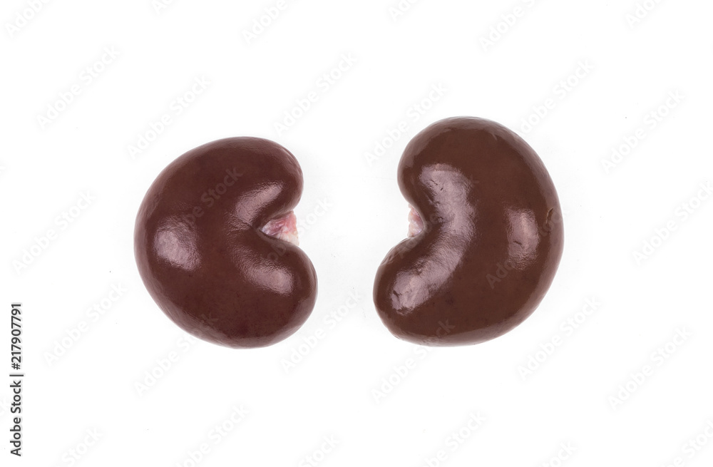 human kidney isolated on white background human kidney isolated on white background