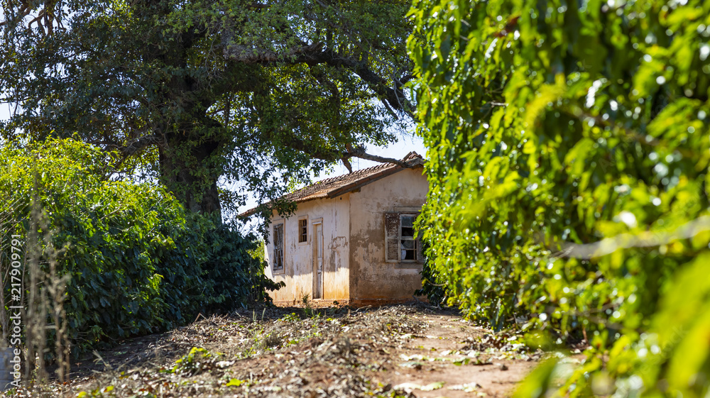 Abandoned house, poorly maintained house, poor house Abandoned house, poorly maintained house, poor house